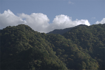 Original image (Custom Image：Flat)