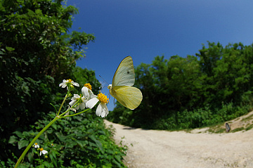 Photo by Masaki Kuroyanagi