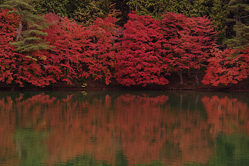 Photo by YOSHIAKI KOBAYASHI