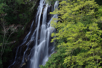 Photo by Kentaro Fukuda