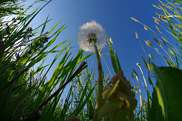 Photo by Takuma Kimura